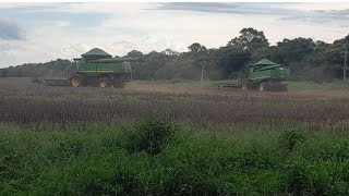 veja a colheita de soja na fazenda bom Jesus 2024 [upl. by Nosredna]