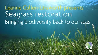 IES Webinar Seagrass restoration  Bringing biodiversity back to our seas [upl. by Elawalo]