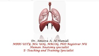 clinical anatomy related to nasopharynx [upl. by Alysia]