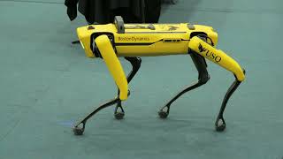 Spot – USQ’s Robot Dog [upl. by Mairb29]