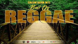 Reggae Mix 2023 Throwback ChronixxKabaka PyramidRichie spiceLucianoJah cure Calum beam intl [upl. by Cesare]