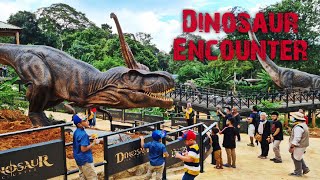 Dinosaur Encounter  Zoo Melaka Tour  First Day Opening 25 Dec 2020 [upl. by Nekcerb]