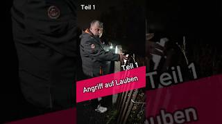 Angriff auf Lauben Teil 1 Teil 1  Kleingartensheriff [upl. by Aihsi]