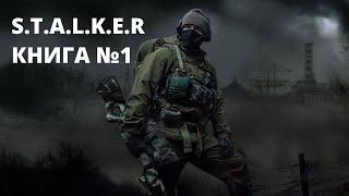 STALKER КНИГА 1 Аудиокнига Сталкер [upl. by Ready77]