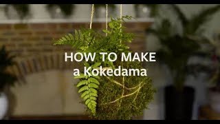 How to make a Kokedama  Grow at Home  Royal Horticultural Society [upl. by Inalan]