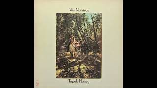 Van Morrison – Tupelo Honey [upl. by Decker]