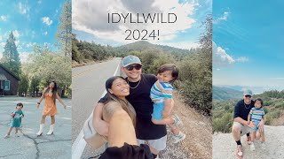 IDYLLWILD TRIP 2024 FOR MY BDAY WEEKEND  VLOG 8 [upl. by Aisined]