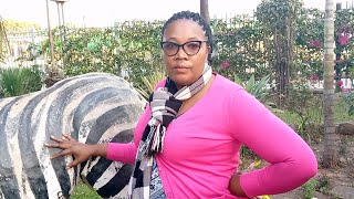 MAMA MUTONI TUMUSANZE AHANTU HEZA CYANEAHO ATEGURIRA FILM ZE MUKUNDA MURI BENSHI [upl. by Carmella]