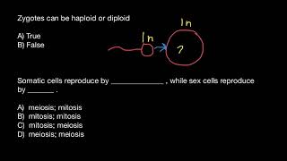 Zygote Development Learn for Children and Kids  EDUKID Learning [upl. by Prussian86]