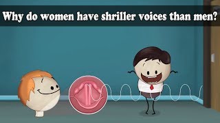 Frequency  Why do women have shriller voices than men  aumsum kids science [upl. by Asilram]