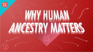 Why Human Ancestry Matters Crash Course Big History 205 [upl. by Christean]