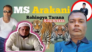 King Arakan U Kata Bulu Tarana New Rohingya tarana msarakani [upl. by Esekram389]