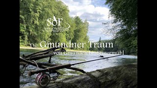 SoF  Gmundner Traun Fliegenfischen [upl. by Getraer]