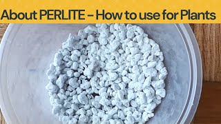 Perlite for Plants  All about Perlite and how to use in gardening [upl. by Uriiah]