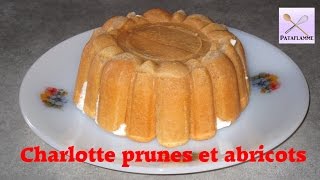 La charlotte aux prunes et aux abricots recette facile et rapide [upl. by Peednam]