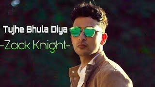 Zack Knight  Tujhe Bhula Diya  Zack Knight 2019 Official Video song [upl. by Krahmer]