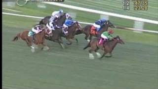 Hollywood Park Autumn Meet In Review [upl. by Rihaz]