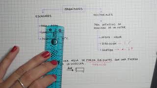 Magnitudes Escalares y Vectoriales [upl. by Giulia]