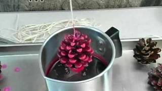 How to Pine Cone Fire Starters [upl. by Hayward]