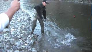 Trinity River Fall Steelhead with Don Newman [upl. by Zoellick817]