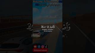 مرحبا بكم في الدنمارك 🇪🇺 welcome To danmark Part 1 [upl. by Yllatan]