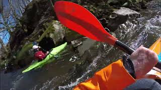 Wombourne Kayak Club Afon Vyrnwy Saturday 1st April 2023 [upl. by Naenej393]