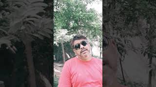 हम दीवाने हैं इस करते हैं song hindisong music bollywood [upl. by Boorer]