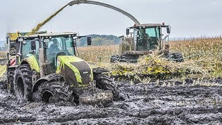 JOHN DEERE Traktoren im Schlamm  Schlammschlacht  Maishäckseln  Claas Jaguar  Fendt Traktoren [upl. by Irolav]