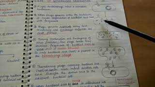 Transduction Genetic recombination in bacteria [upl. by Trella]