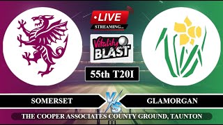 🔴Live SOM vs GLM 55th T20I Live Match  T20 Blast Live Score  Somerset vs Glamorgan Live Match [upl. by Shanleigh56]