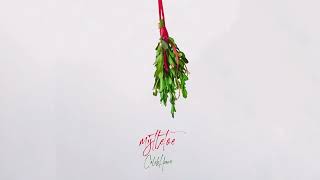 Caleb Hearn  Mistletoe Official Visualizer [upl. by Reace]