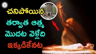 చనిపోయిన తర్వాత ఆత్మ మొదట వెళ్లేది ఇక్కడికేనట The History of Yamaraja Temple in India [upl. by Eiggem]