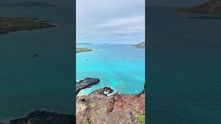 Makapuu’s Melody Where Land Meets Sea [upl. by Wenger]