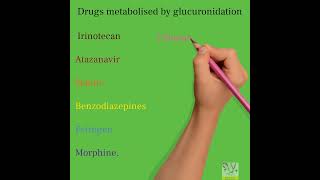 Drugs metabolized by glucuronidation neetpreparation neetpg pharmacy pharmacology [upl. by Pacien]