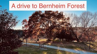 Relaxing drive from Louisville KY to Bernheim Arboretum and Research Forest [upl. by Eiramit]