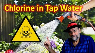 Is Chlorine and Chloramine in Tap Water Harmful to Plants [upl. by Andre]