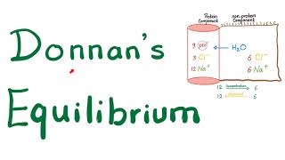 Donnan Equilibrium [upl. by Nauhs]