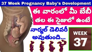 గర్భం 37వ వారం  37th Week of Pregnancy Symptoms Changes amp Baby Development  37th Week of Pregnancy [upl. by Mairam]