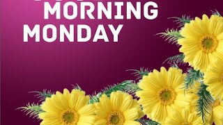 Good morning monday images amp best good morning flowers picture images [upl. by Ailaham]