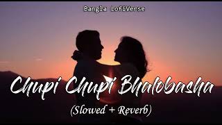 Chupi Chupi Bhalobasha SlowedReverb  Shaan  Shreya Ghoshal  Mon Mane Na  Bangla LofiVerse [upl. by Akeemahs]