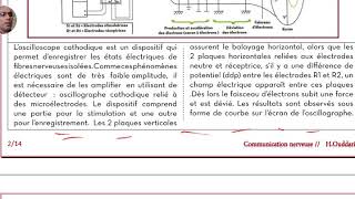 Communication nerveuse Étude de lexcitabilité [upl. by Nahtnanhoj922]