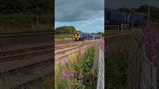 2 tone 158741 working 2B27 from Montrose to Inverurie shorts train class158 subscribe [upl. by Malkin]