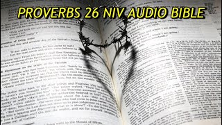 PROVERBS 26 NIV AUDIO BIBLEwith text [upl. by Ramedlab]