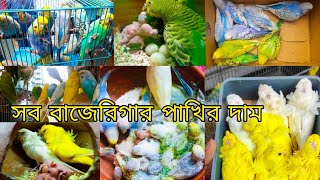 মিরপুর ১ পাখির হাট  বাজরিগার পাখির দাম  Budgerigar Bird Price In BangladeshMirpur 1 bird Market [upl. by Onfre188]