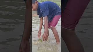 Amazing Hand Fishing Video Fish [upl. by Ohploda]