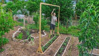 How to Build a Tomato Trellis Using Only ONE PIECE of WOOD CHEAP and EASY Backyard Gardening [upl. by Notsud]