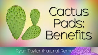 Cactus Leaf Benefits amp Uses Nopales [upl. by Brink]