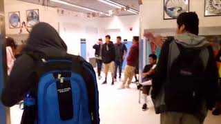 PURGE PRANK ON STUDENTS their reaction is hilarious [upl. by Power487]