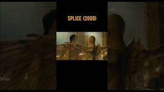 SPLICE 2009 ❤️Scene 56 movie movieclips shorts [upl. by Euqinim]