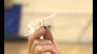 Worlds Smallest Radio Controlled Model Plane [upl. by Madaih]